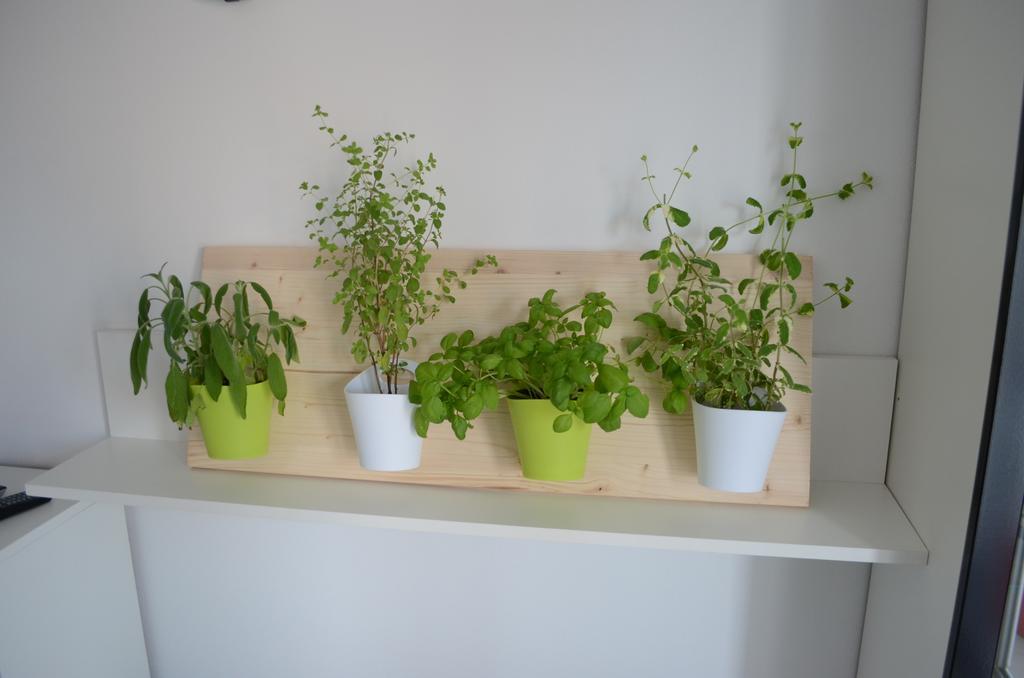 Nika Apartament *